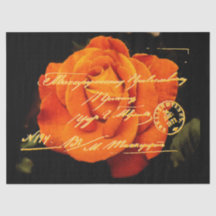 Papel de Tecido com Cartão-Postal Floral Elegante