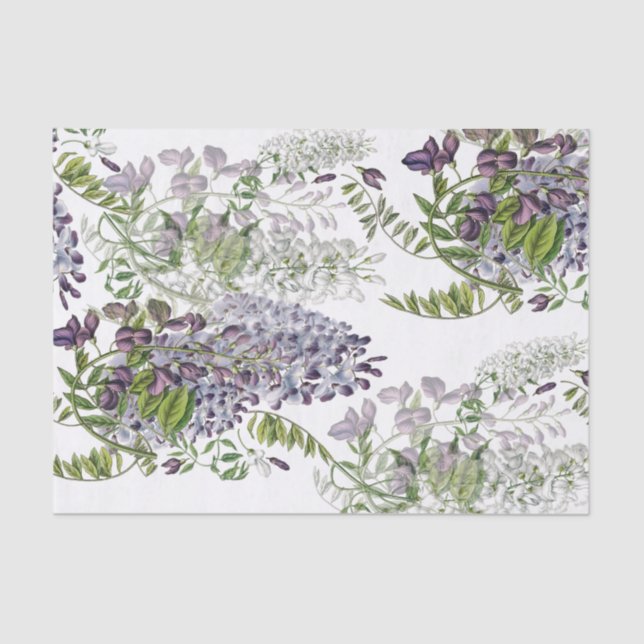 Papel de Tecido de Cor Personalizado da Wisteria R (Frente )