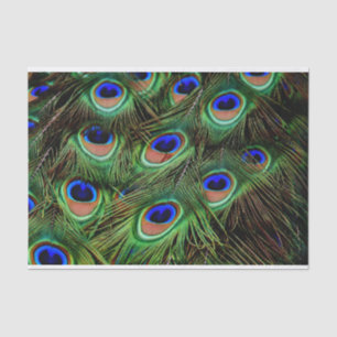 Papel de Tecido de Decoupage de Penas de Peacock