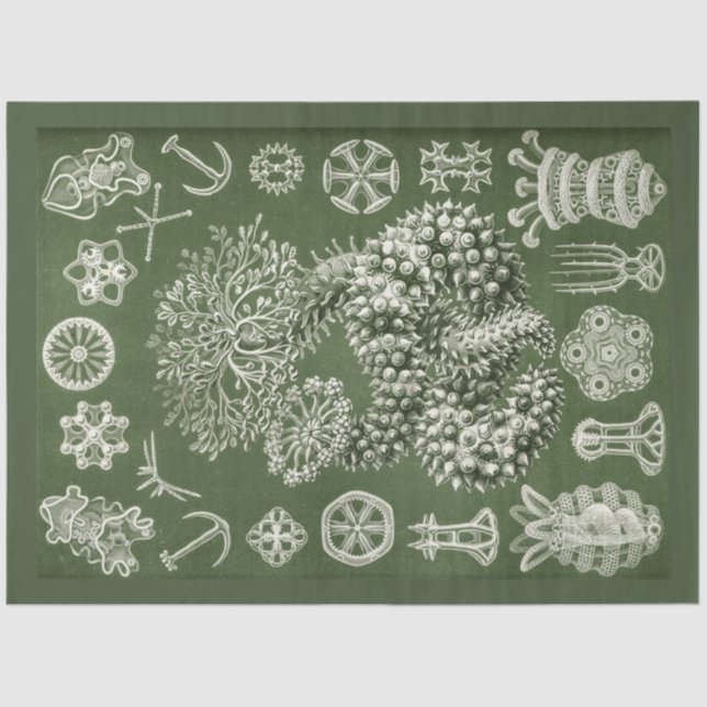 Papel de Tecido de Decoupage do Vintage Sea (Frente )