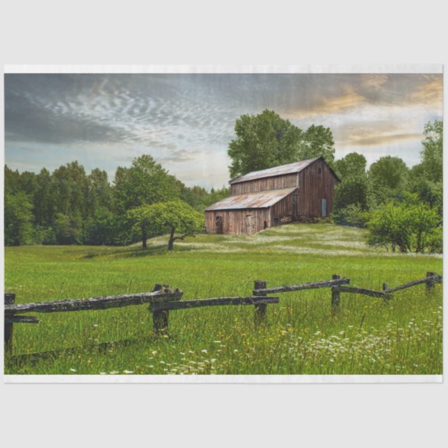 Papel de Tecido de Discussão de Modow de Barn Russ (Frente )