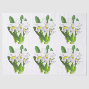 Papel de Tecido de Flor Orquídea Branca Vintage