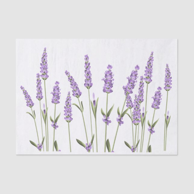 Papel de tecido de ondulação das flores de lavanda (Frente )