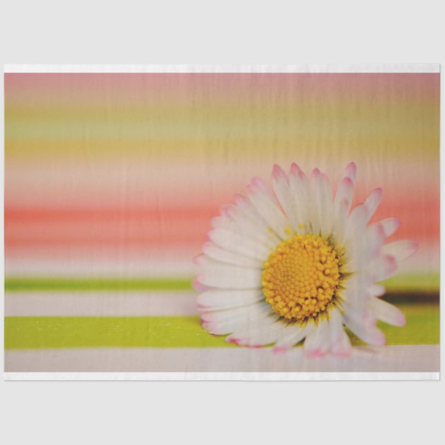 Papel de Tecido Floral (Frente )