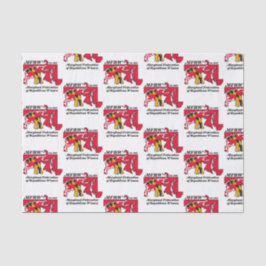 Papel de Tecido MFRW