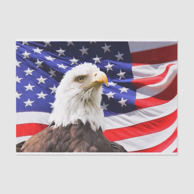 papel de tecidos da independência americana (Frente )