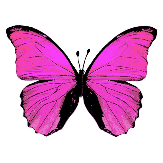 Papel de tecidos de borboletas rosa (Criador carregado)