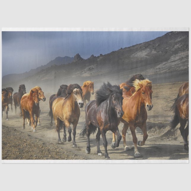 papel de tecidos de cavalos (Frente )