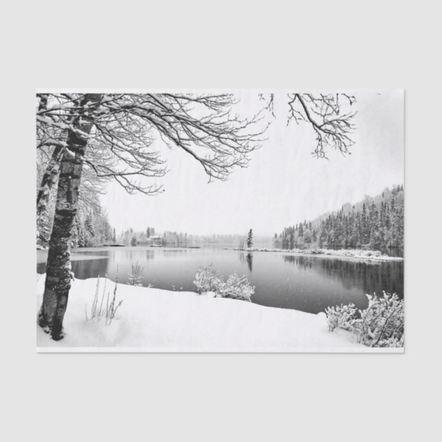 papel de tecidos de inverno (Frente )