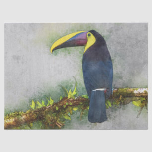 papel de tecidos de pássaros tucanos