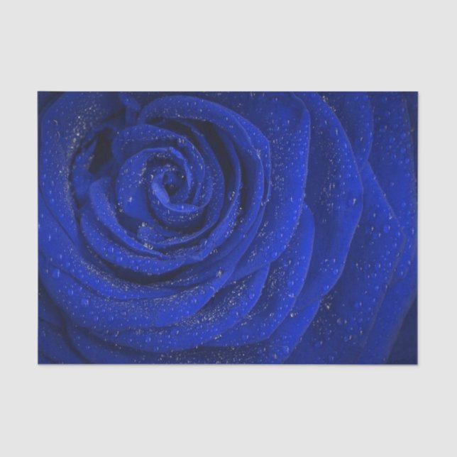 Papel de tecidos de rosa azul Elegante (Frente )