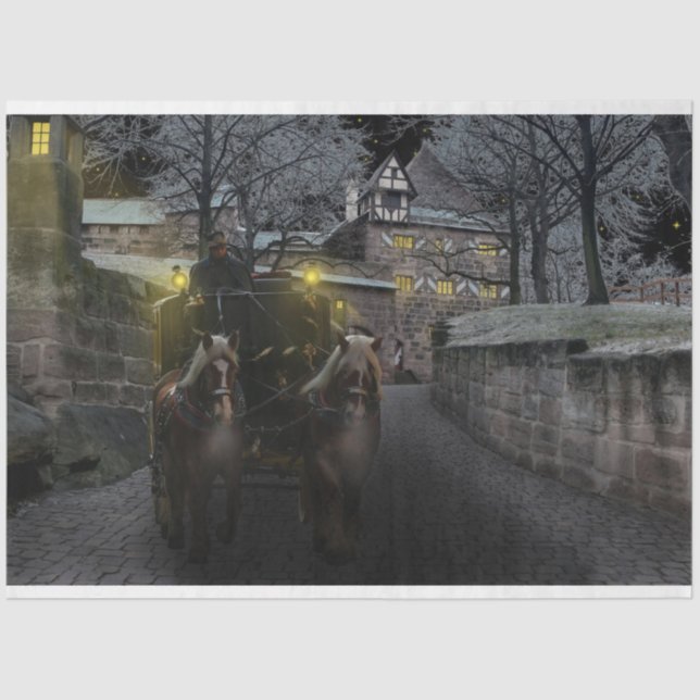 papel de tecidos do castelo de inverno (Frente )