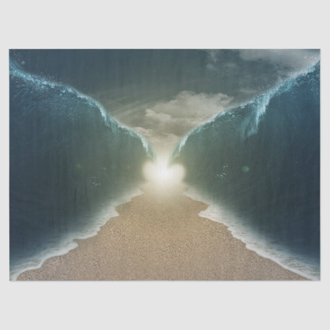 papel de tecidos do mar vermelho (Frente )