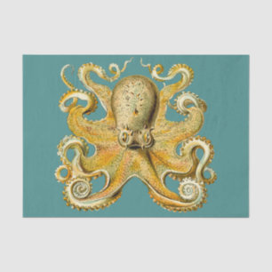 papel de tecidos octopus