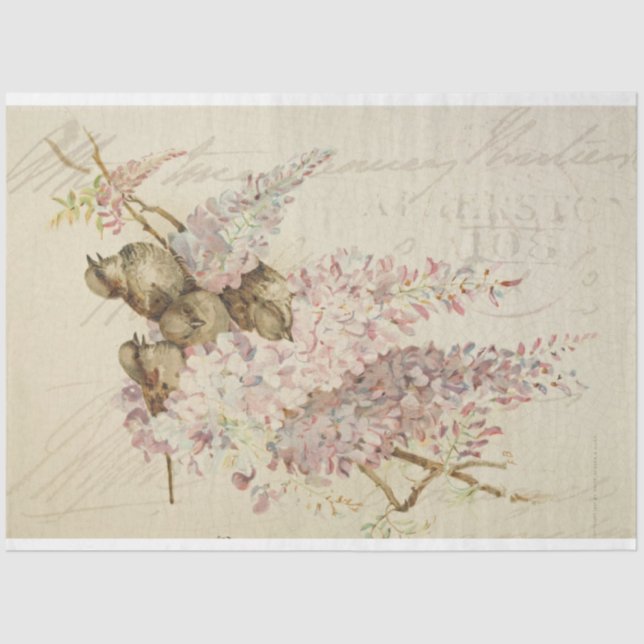 Papel Decoupage do Mobiliário de Aves Doce (Frente )