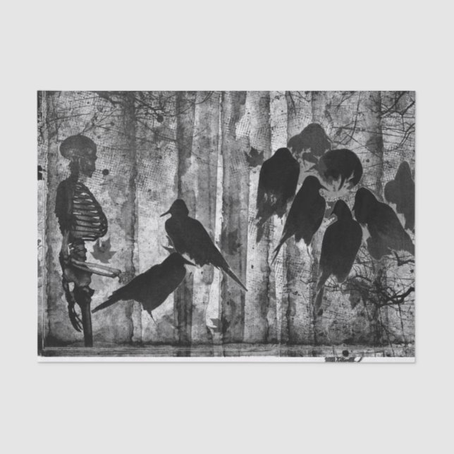 Papel do Tecido de Capa (Frente )