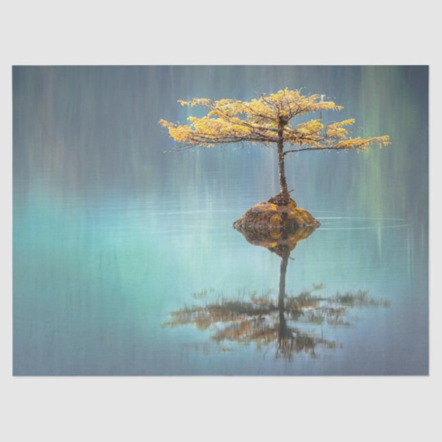 PAPEL DOS TECIDOS: "ÁRVORE NA ILHA"   (Frente )