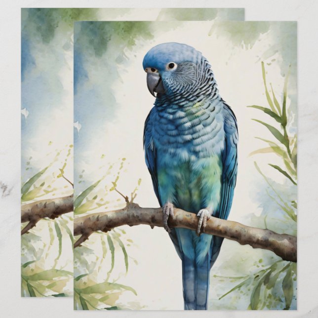Papel Escrapbook Eucalyptus Parakeet Watercolor (Frente/Verso)
