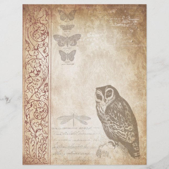 Papel Escrapbook Vintage Owl Envelhecido (Frente)