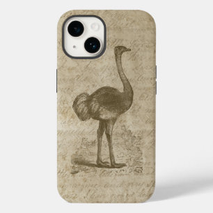 Papel Grunge de Script Antiguo e Ostrich