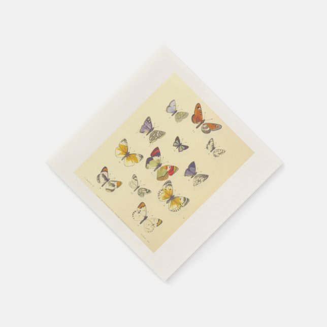 Papel Guardanapo de Cocktail - Design de Borboleta Vinta (Canto)