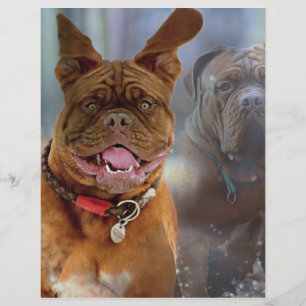Papel Mastiff Plus
