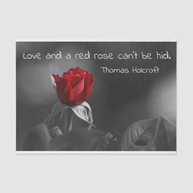 Papel no tecido da rosa vermelha (Frente )