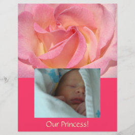 Papel para Álbum de Fotos da Princesinha Rosa Bebê