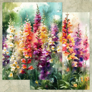 PAPEL PARA ALBUM DE RECORTES DO JARDIM DE BOCAS-DE