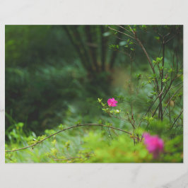 Papel para Álbum de Recortes Flor de Floresta Sonh