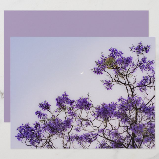 Papel para Scrapbook de árvore de primavera pastéi (Frente/Verso)