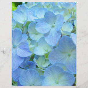 Papel para scrapbooking Tema Floral Hortênsias Azu