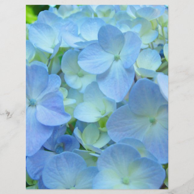 Papel para scrapbooking Tema Floral Hortênsias Azu (Frente)