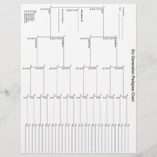 Papel Pedigótico de seis gerações