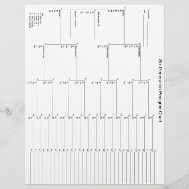 Papel Pedigótico de seis gerações (Frente)