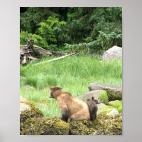 Papel Poster 8x10 (Matte) de urso e cubo cinzentos