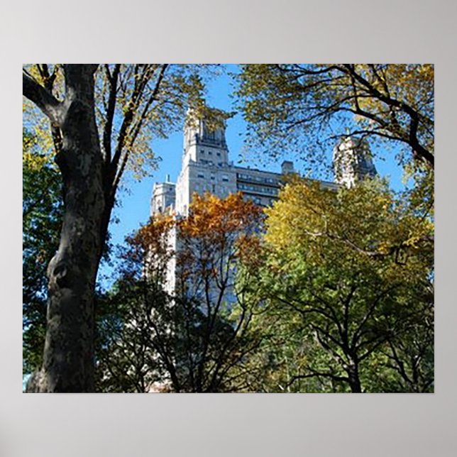 Papel Poster de 20" x 16", valor (Matte) (Frente)