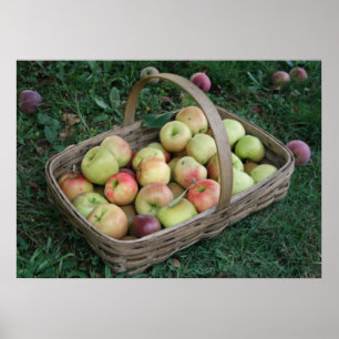 Papel Poster de 28" x 20", Valor (Matte)