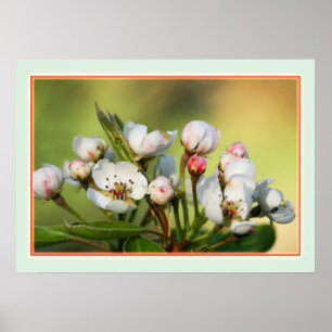 Papel Poster de 28" x 20", Valor (Matte)
