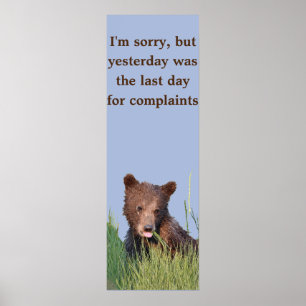 Papel Poster (Matte) 12x36 com cubo de urso pardo