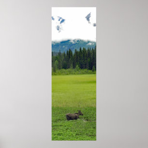 Papel Poster (Matte) de alce 12x36