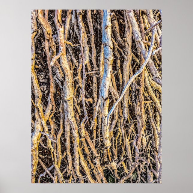 Papel Poster (Semibrilho), Impressão de 4 não inic (Frente)