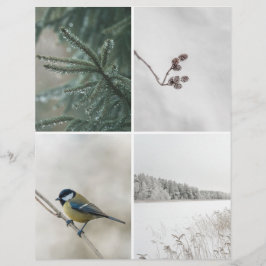 Papel recortado para álbum de Natal: Natureza de I