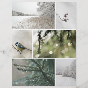 Papel recortado para álbum de Natal: Natureza de I