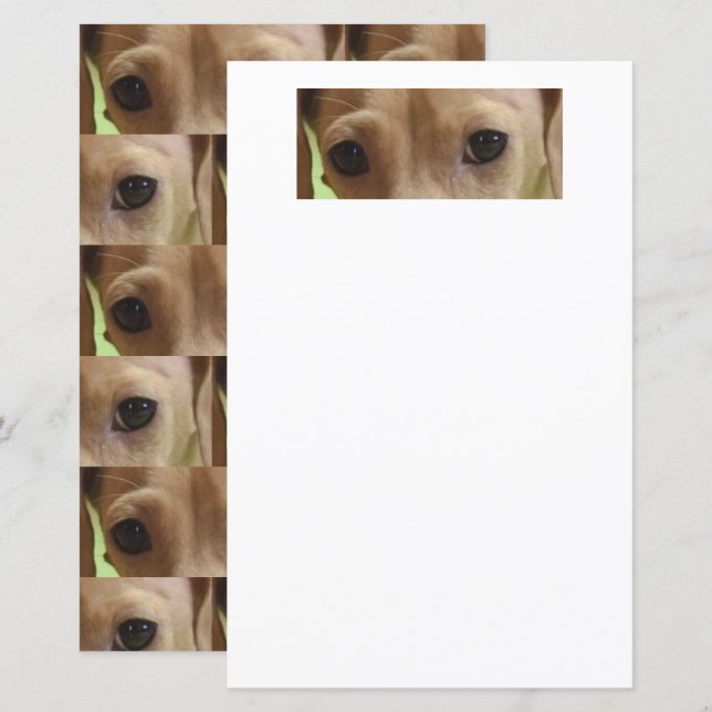 papel scrapbook dachshund creme olhos (Frente/Verso)