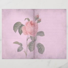 Papel Scrapbook de Diário Rosa Rosa Rosa Vintage