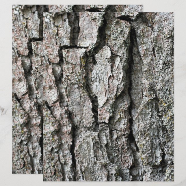 Papel Scrapbook de Natureza do Latido de Árvore (Frente/Verso)