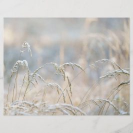 Papel scrapbook de natureza invernal sonhadora
