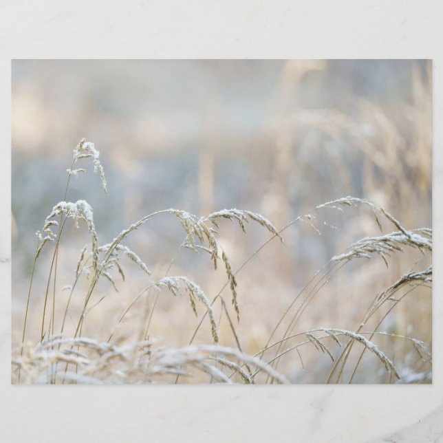 Papel scrapbook de natureza invernal sonhadora (Frente)