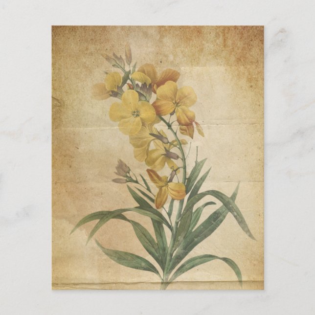 Papel Scrapbook Floral Amarelo (Frente)